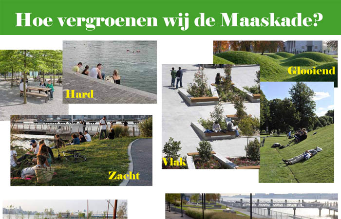 Bewonersbrief: vergroening Maaskade
